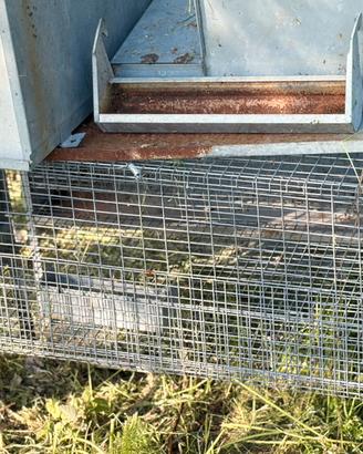 Gabbie galline, quaglie