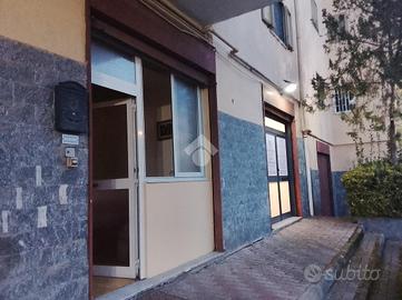 NEGOZIO A POLLENA TROCCHIA