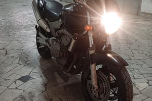 Honda hornet