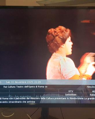 televisore