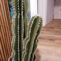 Cactus finto  in vaso