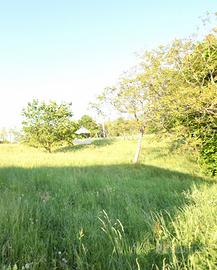 Rif.ZI146_1| casa ind. montebelluna