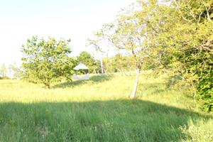 Rif.ZI146_1| casa ind. montebelluna