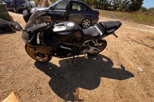 Honda CBR 600 - 2005