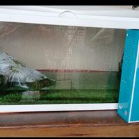 acquario 80l con filtro