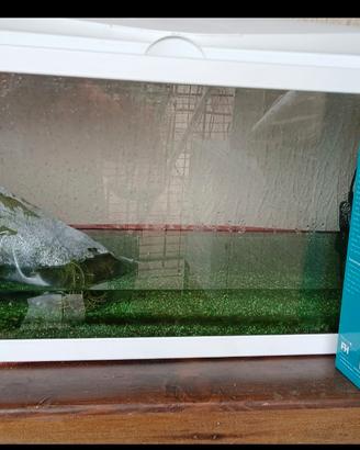 acquario 80l con filtro