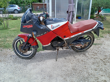 Cagiva aletta oro 125