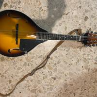 Mandolino