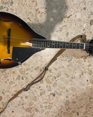 Mandolino