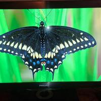 PHILIPS Net TV Full HD