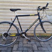 Bicicletta Bottecchia