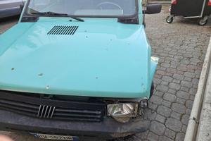 panda 1100 i.e. cat. hobby 2001 incidentata