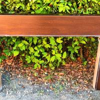 Bordo in noce massello 139x80