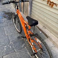 Bicicletta