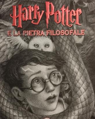 Libro Harry Potter e la Pietra Filosofale