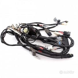 Impianto elettrico Gilera Runner 50 iniezione Pure