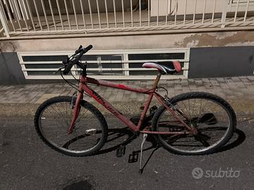 Bicicletta