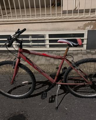 Bicicletta