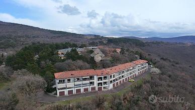 3 LOCALI A SAN DORLIGO DELLA VALLE