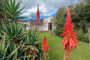 Azienda Agricola - Settimo San Pietro