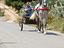 Immagine 3