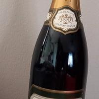 bottiglia champagne 