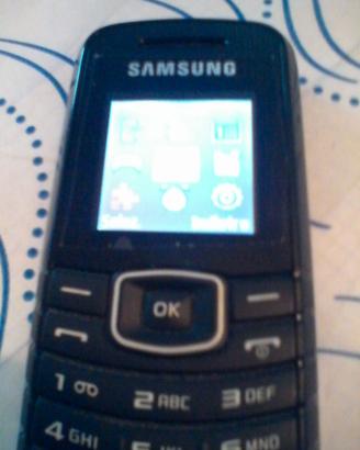 Cellulare Samsung