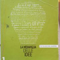 La meraviglia delle idee 1