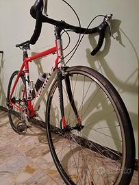 Wilier lavaredo ultegra mis 56