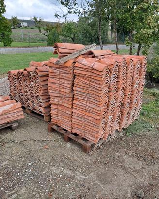 tegole in buono stato 