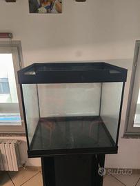 acquario juwel lido 200 ed altro