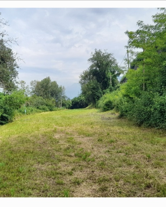 Terreno agricolo Calolziocorte