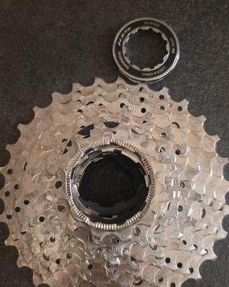 Pacco pignoni Shimano
