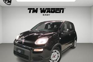 Fiat Panda 1.0 FireFly S&S Hybrid - NEOPATENTATI