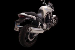 BT1100 BULLDOG