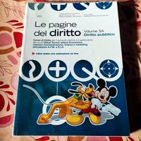 libro diritto pubblico 