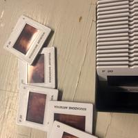 Lotto 1000+ diapositive vintage