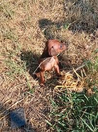 cucciolo pinscher toy