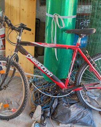 bicicletta