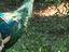 Immagine 6