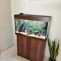Acquario completo