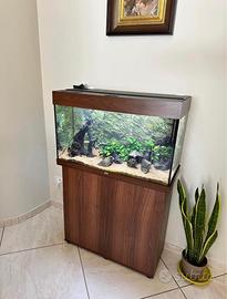 Acquario completo