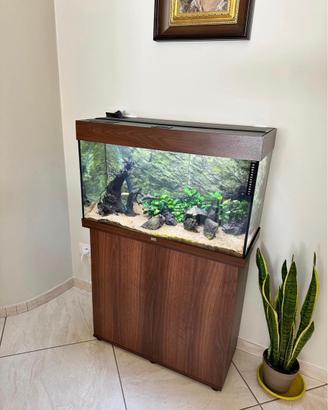 Acquario completo