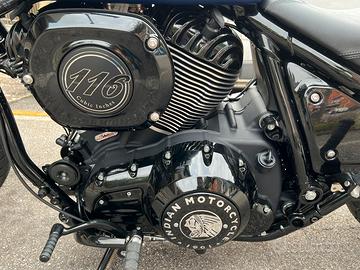 Indian Chief Dark Horse