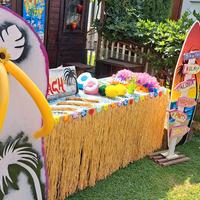 festa hawaiana party