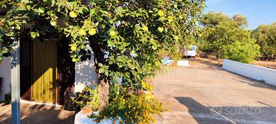 Casa vacanza Salento