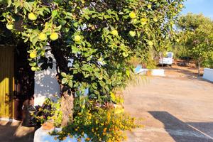 Casa vacanza Salento