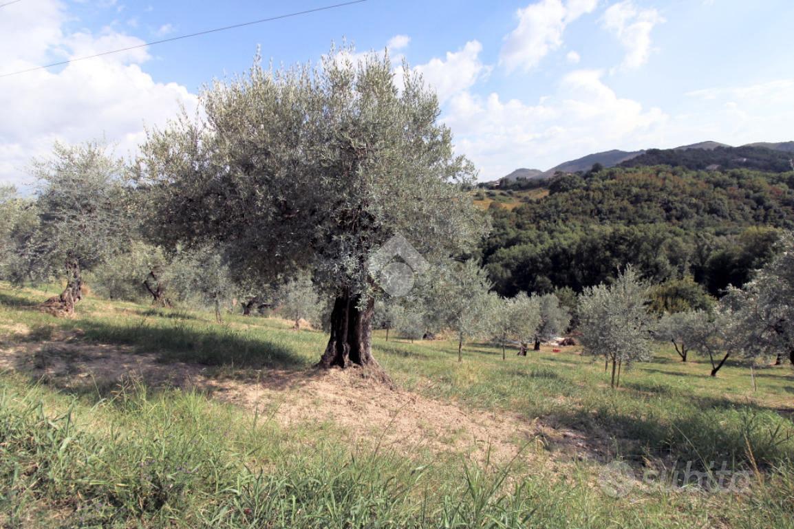 TER. AGRICOLO A SALISANO - Vista 3