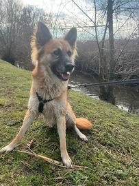 Chano: dolce. Intelligente e sensibile