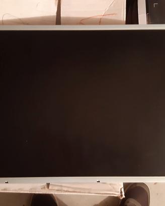 DISPLAY LG 20 POLLICI